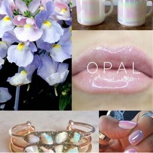 Lipsense by Senegence. Shade: Opal gloss. NWT. 🍁🍁